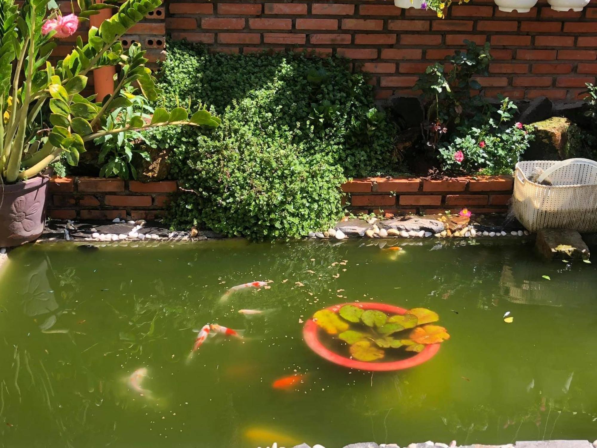 Rose House Apartment Dalat Bagian luar foto